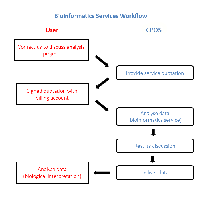 Bioinformatics Services Workflow