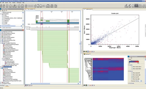 Screenshot of RNASeq analysis in CLC Genomics Workbench