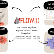 Flowjo 2026