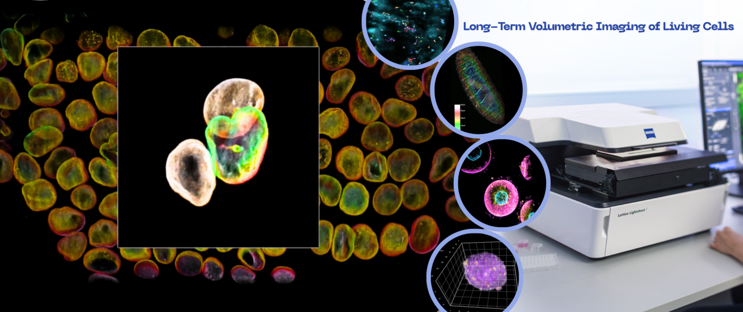 Lattice Lightsheet 7 Price web banner 2